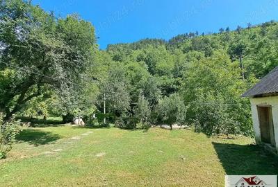 Casa de vanzare in zona Vintu cu 10.790 mp teren - 17