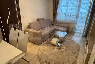 Apartament 2 camere strada Plopilor - 4