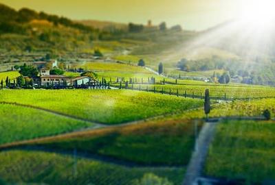 Film&Tur! Domeniu pe 222.000mp+ Ferma +Anexe specifice+Constructie+
rezidential - 5