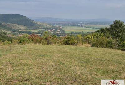 Casa de vanzare cu 47.880 mp teren in Vintu de Jos - Mereteu - 3