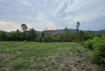 Teren Intravilan, utilitati in zona, 2600 mp, Draganeasa, Prahova - 3