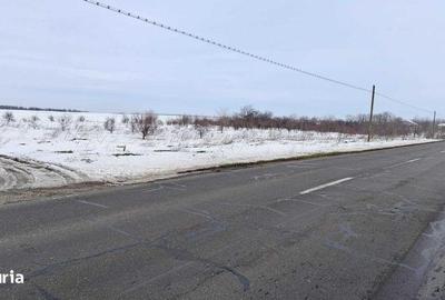 Teren de 2500 mp, în Frumușani