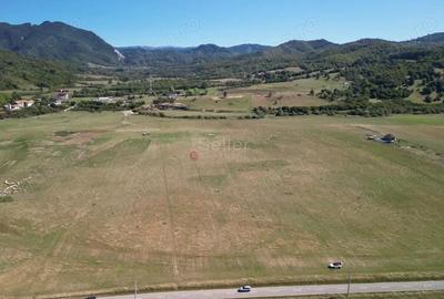 Teren extravilan Rasnov - 9