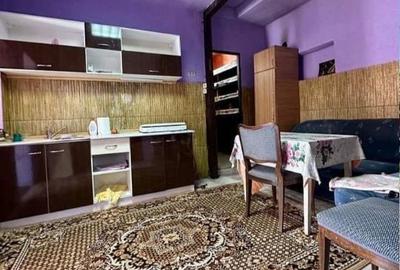Casă cu 2 camere în Iratoșu - 2