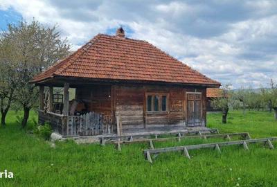 Casă cu 4 camere în Albești - 5