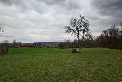 Teren intravilan de 9370 mp, în Țebea - 12