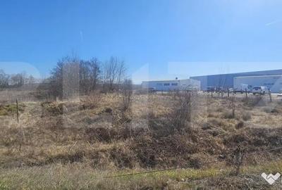 Teren de 3500 mp, în Sântuhalm - 2