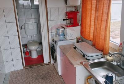 CASA + Casuta - DE VANZARE in Baia Sprie - 18