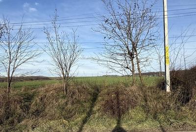 Teren de 15000 mp, în Aroneanu - 2