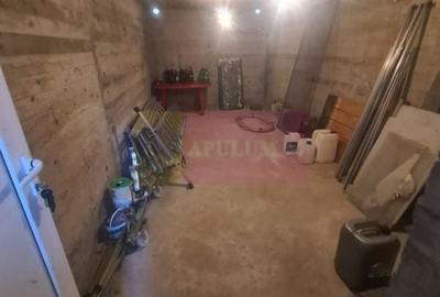 Vila de vanzare in Brebu  - Zona Brebu Megiesesc - 29