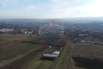 Teren agricol extravilan de 19375 mp, în Dâmbul Rotund - 8
