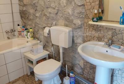 Casa la munte, 5 camere, 4800 mp teren, zona Ocolis - 4