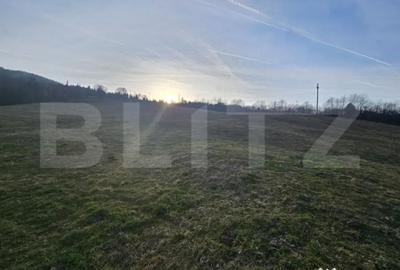 Teren de 16667 mp, în Abrud-Sat - 5