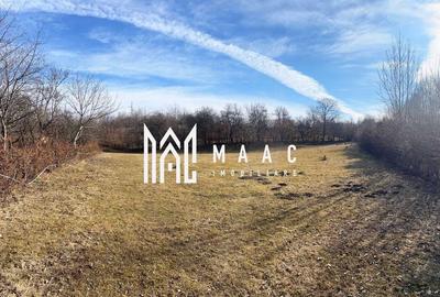 Teren intravilan I 2300mp I Zona Rasinari - 3