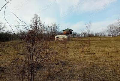 Teren - 7.132 mp zona deosebita , str Alexandru cel Bun - 6