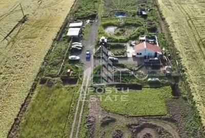 Farmhouse la 14km de Timisoara, teren agricol 1ha - 5