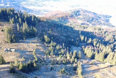 Teren extravilan de 31461 mp, în Panaci - 5