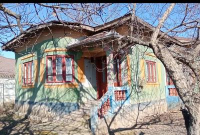 Vand casa sat Segarcea jud.Dolj - 3