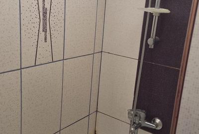 Garsonieră semidecomandată, mobilată în Noua - 10