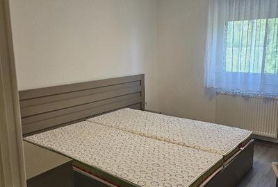 Apartament cu 2 camere semidecomandat în Micălaca - 9
