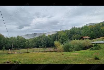 Casă cu Teren 30000 Mp în Central - 3