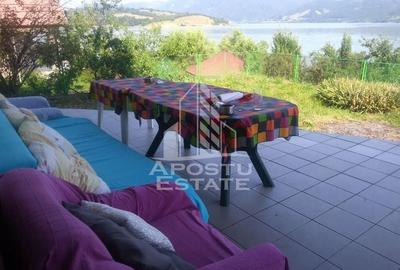 Casa individualapretabil pensiune pe Clisura Dunarii - 18