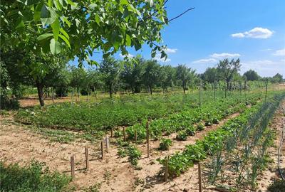 RECO Casa in Sanlazar - 7