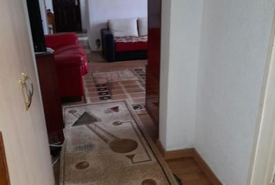 Apartament cu 2 camere semidecomandat în Paltin - 2