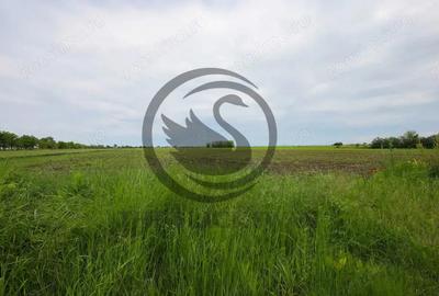 Teren de vanzare in Manesti, Prahova | 18.000 mp | Deschidere 60 ml