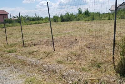 Teren Construcții intravilan de 1365 mp, în Mogoșoaia - 3