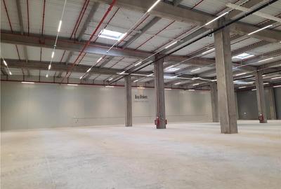 Spatii Industriale - 10000 mp - Logistica - Productie - Depozitare - Distributie - 11
