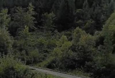 Teren Construcții intravilan de 6000 mp, în Ortoaia - 14