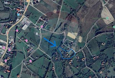 Teren Construcții intravilan de 4391 mp, în Sohodol - 5