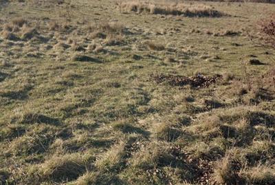 Spațiu comercial, în Vâlcele - 2