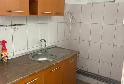 Casa Rahova -Alexandriei 2 Corpuri Finisaj Premium - 14