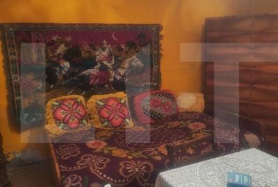 Casă cu 4 camere cu Teren 3500 Mp în Criciova - 9
