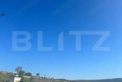 Teren de 11100 mp, în Sopor - 1