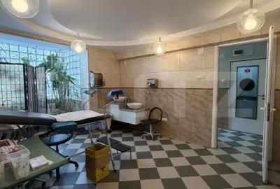 Spațiu comercial, de 113 mp, în Calea Severinului - 16