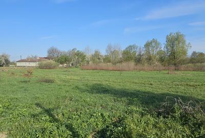 Teren de 8780 mp, în Vărădia de Mureș - 3