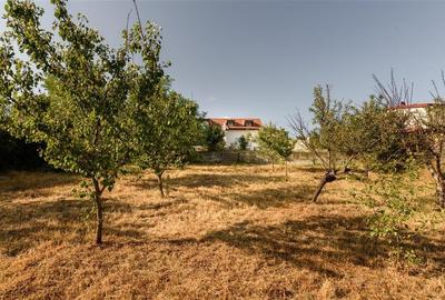 RECO Casa cu priveliste - 26