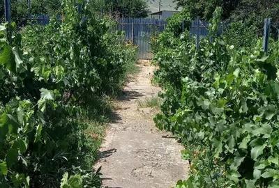 Casă cu 3 camere în Mircea Vodă - 6