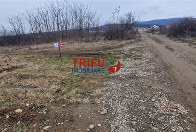 Teren de 1091 mp, în Cetate - 9