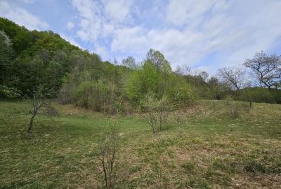 Teren intravilan 1454 mp la marginea padurii zona locuita de case! - 9