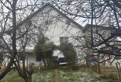 Tomesti - Osoi, vila cu spatiu comercial la parter , 2400mp teren cu iaz si pomi - 10