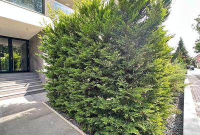 3 Camere / Iancu Nicolae / 1 Min British School - 20