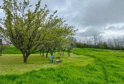 Teren agricol intravilan de 6576 mp, în Curcani - 2