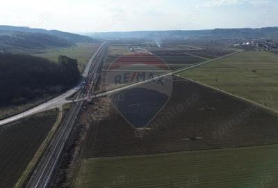 Teren de 19319 mp, în Hoghilag - 8