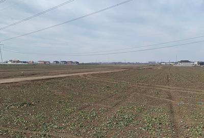 Comuna Berceni teren investitie, acces direct din bulevardul principal - 1