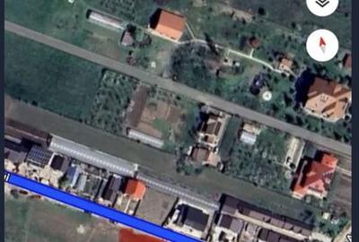 Teren de 998 mp, în Pruni - 2