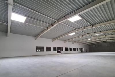 Hala productie Timisoara,  4800 mp,  Exterior Nord - 2